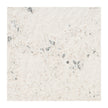 Nourison Cozy Shimmer CSH01 Glam Indoor Rug