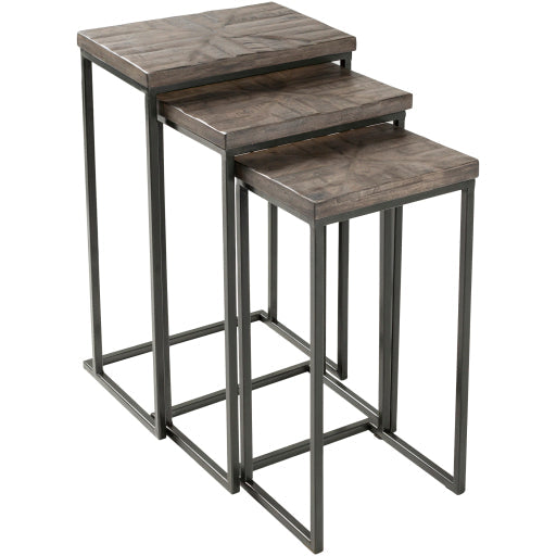 Livabliss by Surya Troyes End Table Set Clearance