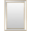 Livabliss by Surya Constantine Accent Mirror TTO-002