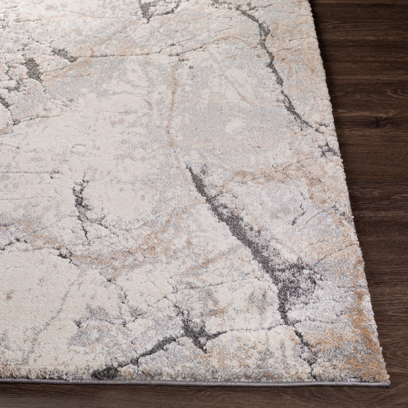 Livabliss by Surya Tuscany TUS-2314 Rug