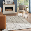 Nourison Colorado CLR01 Modern Indoor Rug