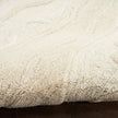 Nourison Graceful GRU01 Modern Indoor Rug