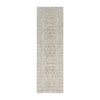 Nourison Desire DSR07 Modern Indoor Rug