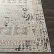 Livabliss by Surya Venezia VNZ-2301 Rug