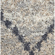 Nourison Oslo Shag OSL01 Shag Indoor Rug