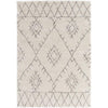 Surya Wilder WDR-2003 Machine Woven Rug Clearance