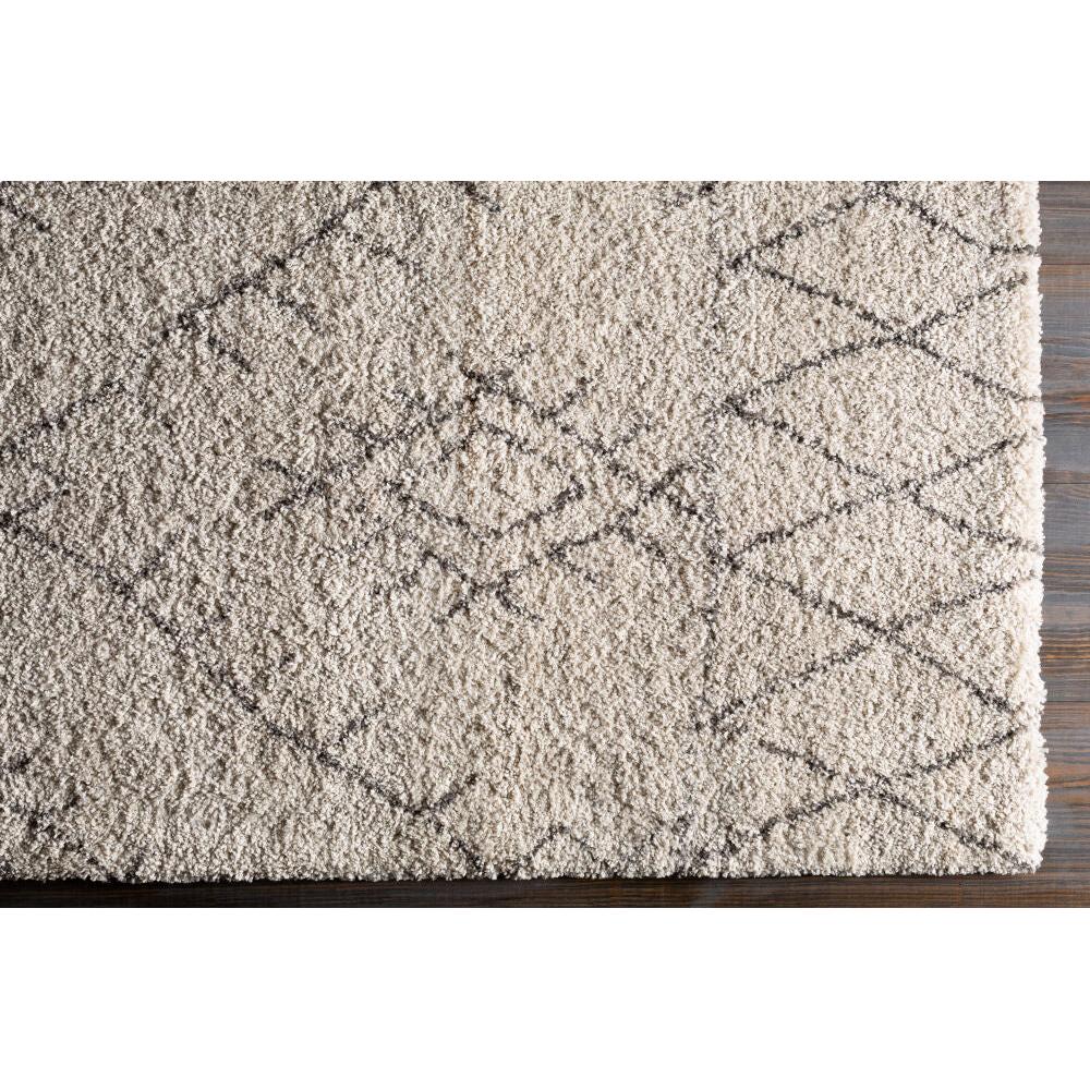 Surya Wilder WDR-2003 Machine Woven Rug Clearance
