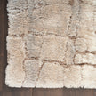 Nourison Dreamy Shag DRS09 Shag Indoor Rug