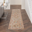 Nourison Sahar SHR01 Vintage Indoor Rug