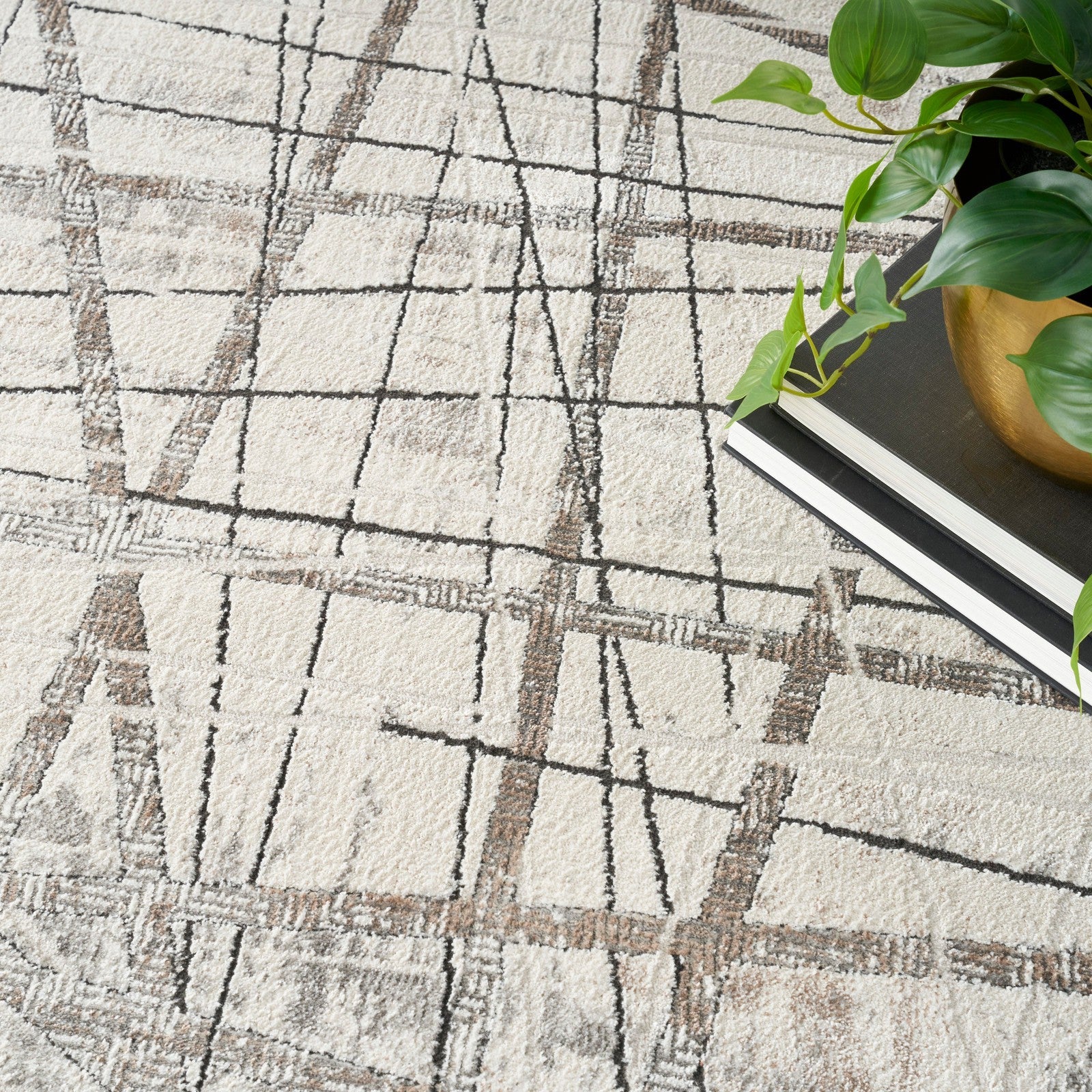 Nourison Desire DSR03 Modern Indoor Rug