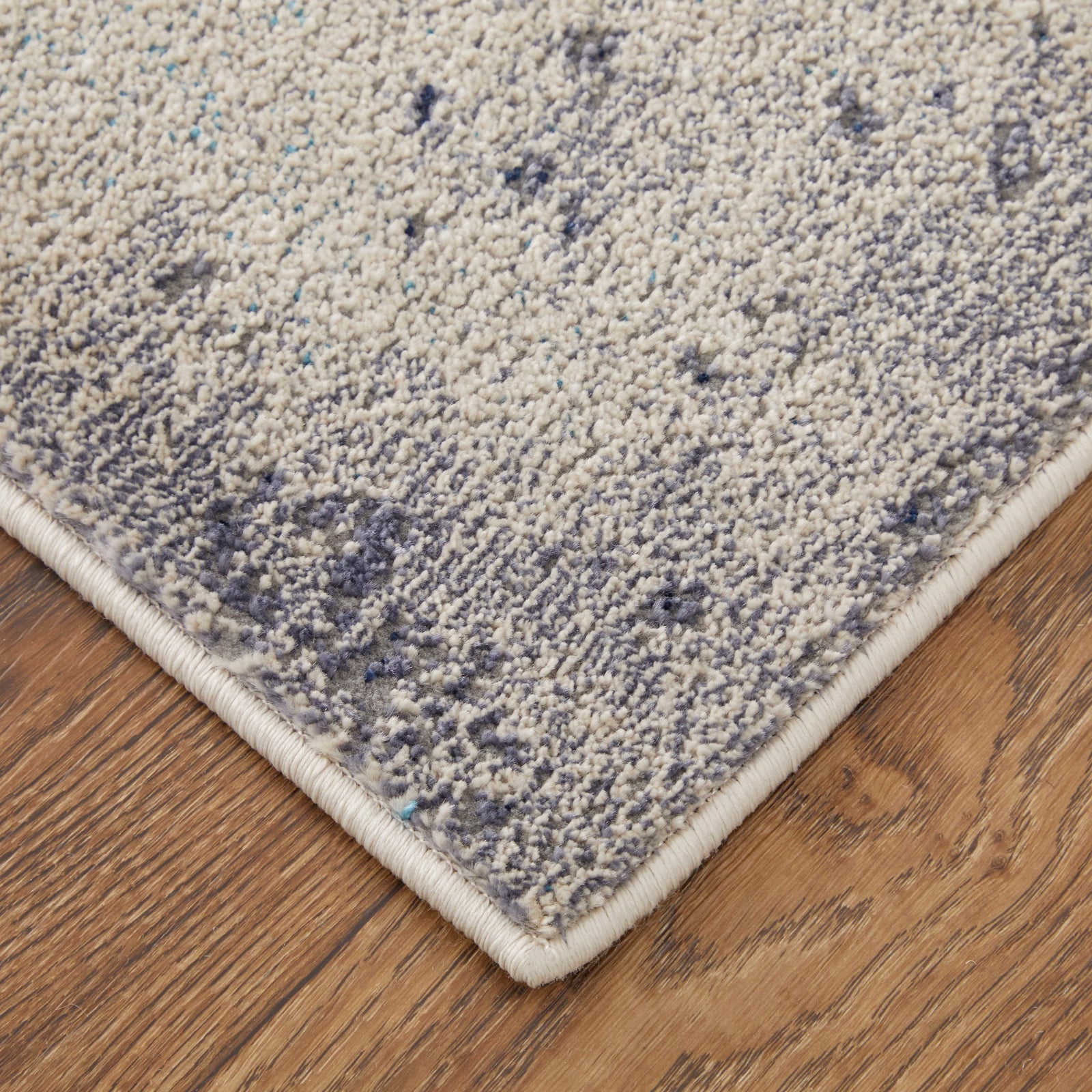 Feizy Astra 39L2F Rug