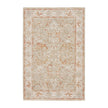 Nourison Infinite IFT01 Vintage Indoor Rug