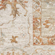 Nourison Infinite IFT01 Vintage Indoor Rug