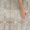Nourison Desire DSR07 Modern Indoor Rug