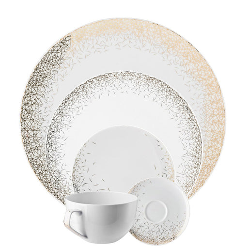 Rosenthal 5 Piece Place Setting Tac Palazzo