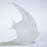 Global Views Angelfish