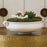 Global Views Urli Decorative Bowl