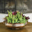 Global Views Urli Decorative Bowl