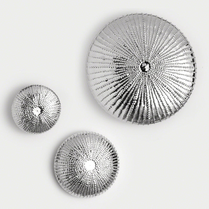 Global Views Sea Urchin Wall Sculpture