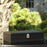 Global Views Boxed Bar Tool Set-Black