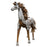 Michael Amini Discoveries Horse