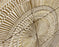 John Richard Cosmos Six-Drawer Chest of Drawers II