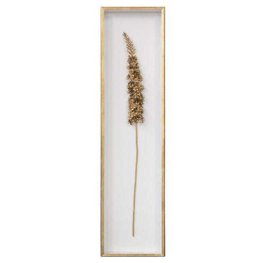 John Richard Golden Foxtail