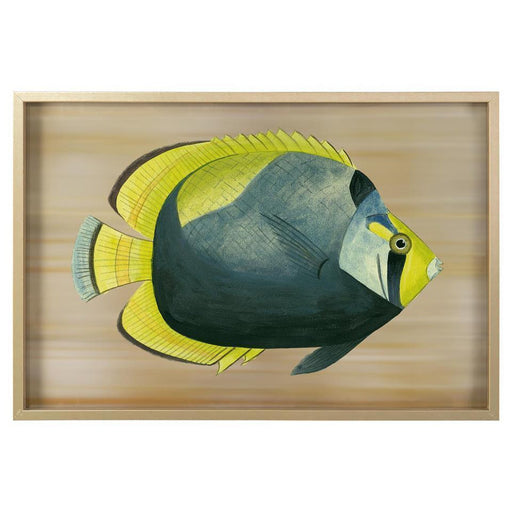 John Richard Azure Fish