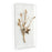 John Richard Gold Calcite I