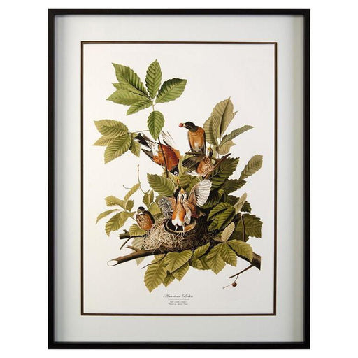 John Richard Audubon's