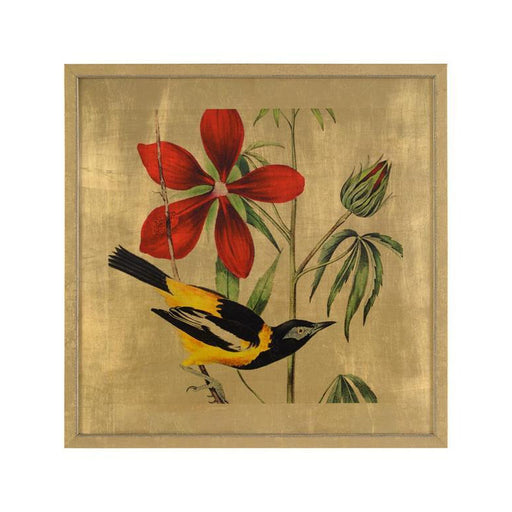 John Richard Lustr Avian Crop