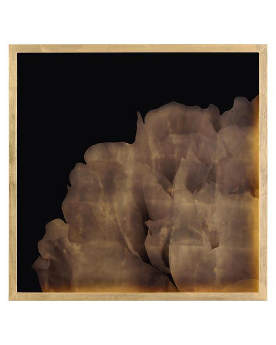 John Richard Mark McDowell's Shi Hana