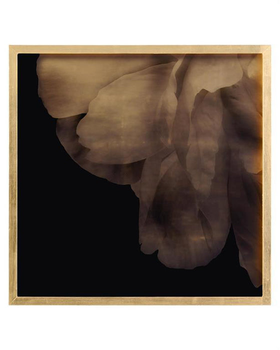 John Richard Mark McDowell's Shi Hana