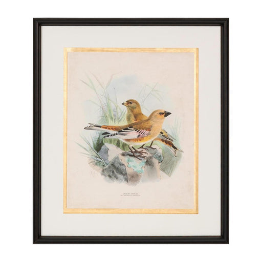 John Richard Antique Birds I