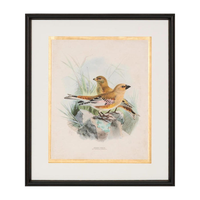 John Richard Antique Birds I