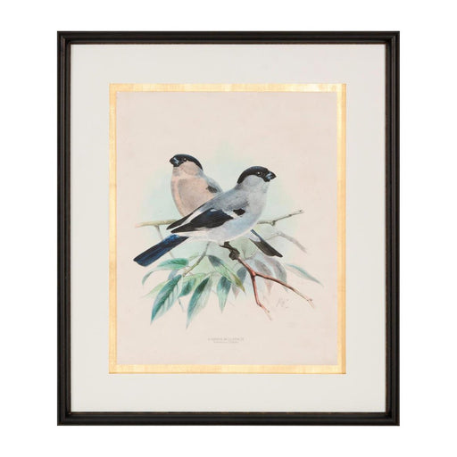 John Richard Anitque Birds III