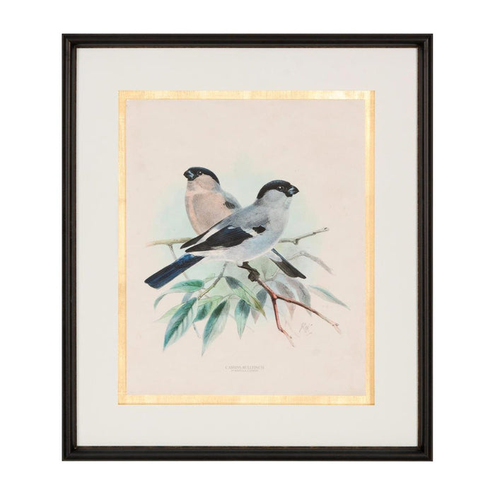 John Richard Anitque Birds III