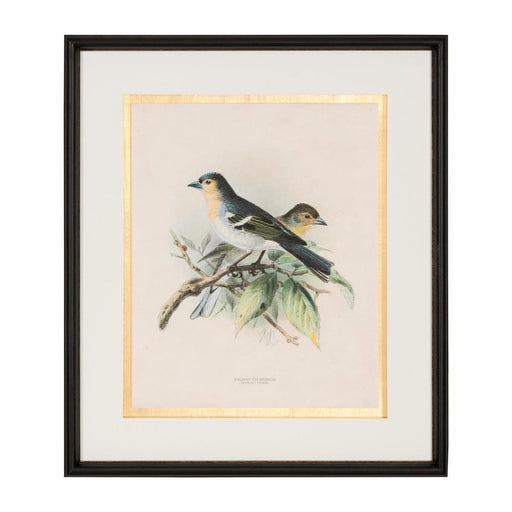 John Richard Antique Birds IV