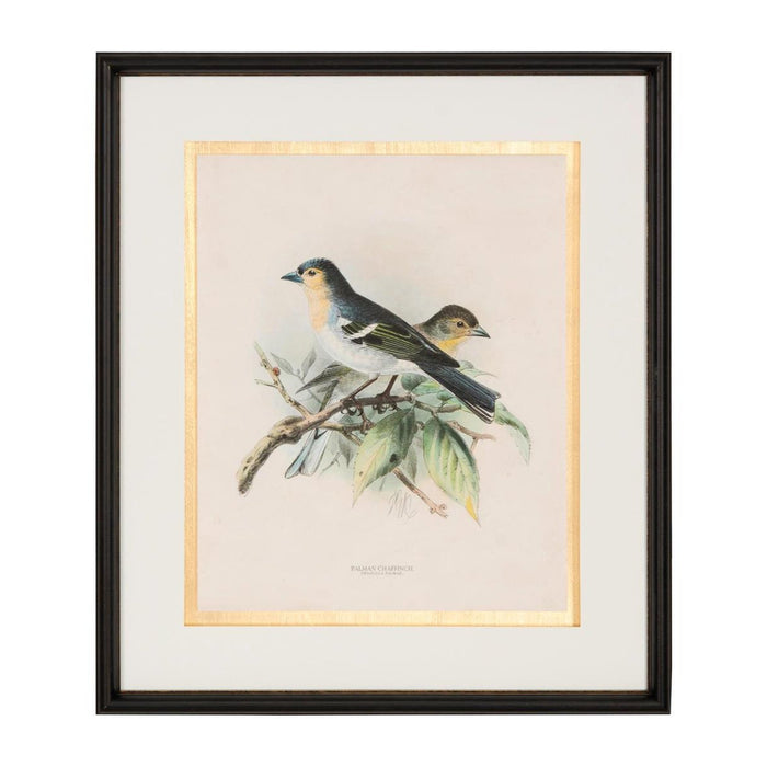 John Richard Antique Birds IV