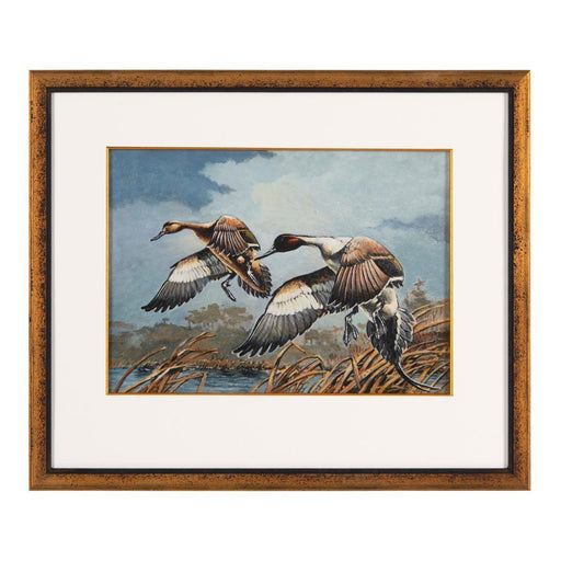 John Richard Tommy Goodman’s Tranquil Morning