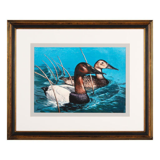 John Richard Tommy Goodman’s Canvasback