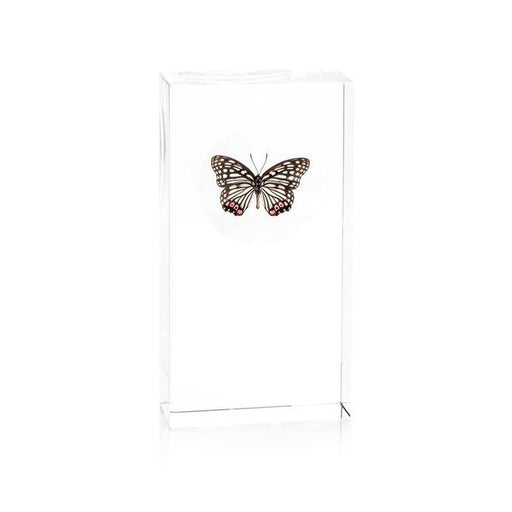 John Richard Black, White, and Pink Butterfly Encased in Crystal