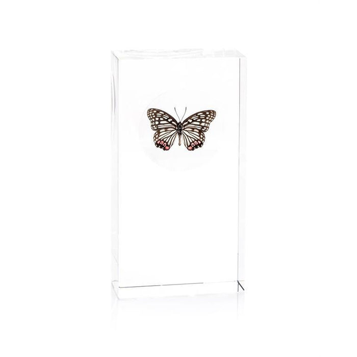 John Richard Black, White, and Pink Butterfly Encased in Crystal