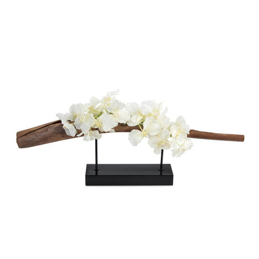 John Richard African Orchid