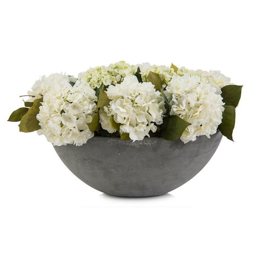 John Richard White Hydrangeas