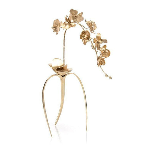John Richard Brass Orchids