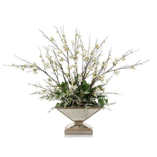 John Richard Blossoms at Sunset