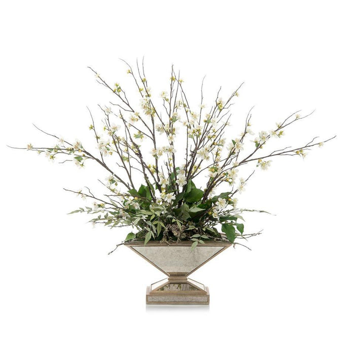 John Richard Blossoms at Sunset