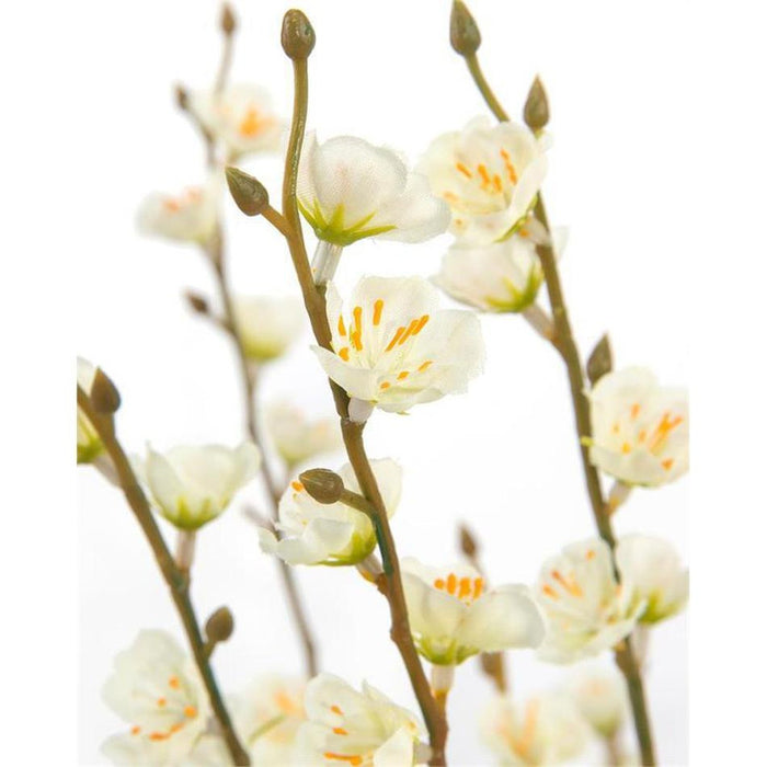 John Richard Apple Blossoms