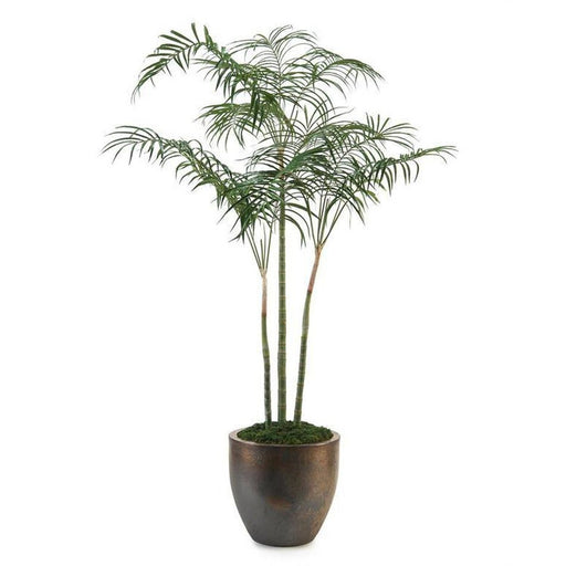 John Richard Areca Bronze